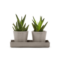 Lillepottide esitlusalus 20cm taupe