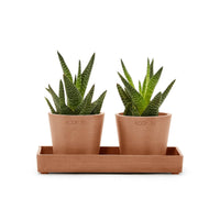 Lillepottide väljapanekualus 20cm terrakota