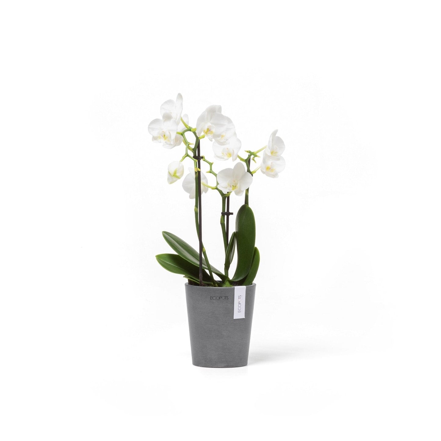 Kukkaruukku - Ecopots - Kukkaruukku Morinda 11cm harmaa - Ecopots - Uuden aikakauden kukkaruukku kierrätysmateriaalista