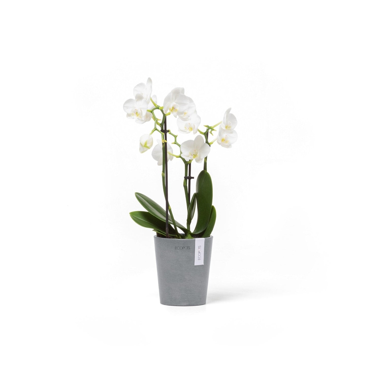 Kukkaruukku - Ecopots - Kukkaruukku Morinda 11cm siniharmaa - Ecopots - Uuden aikakauden kukkaruukku kierrätysmateriaalista