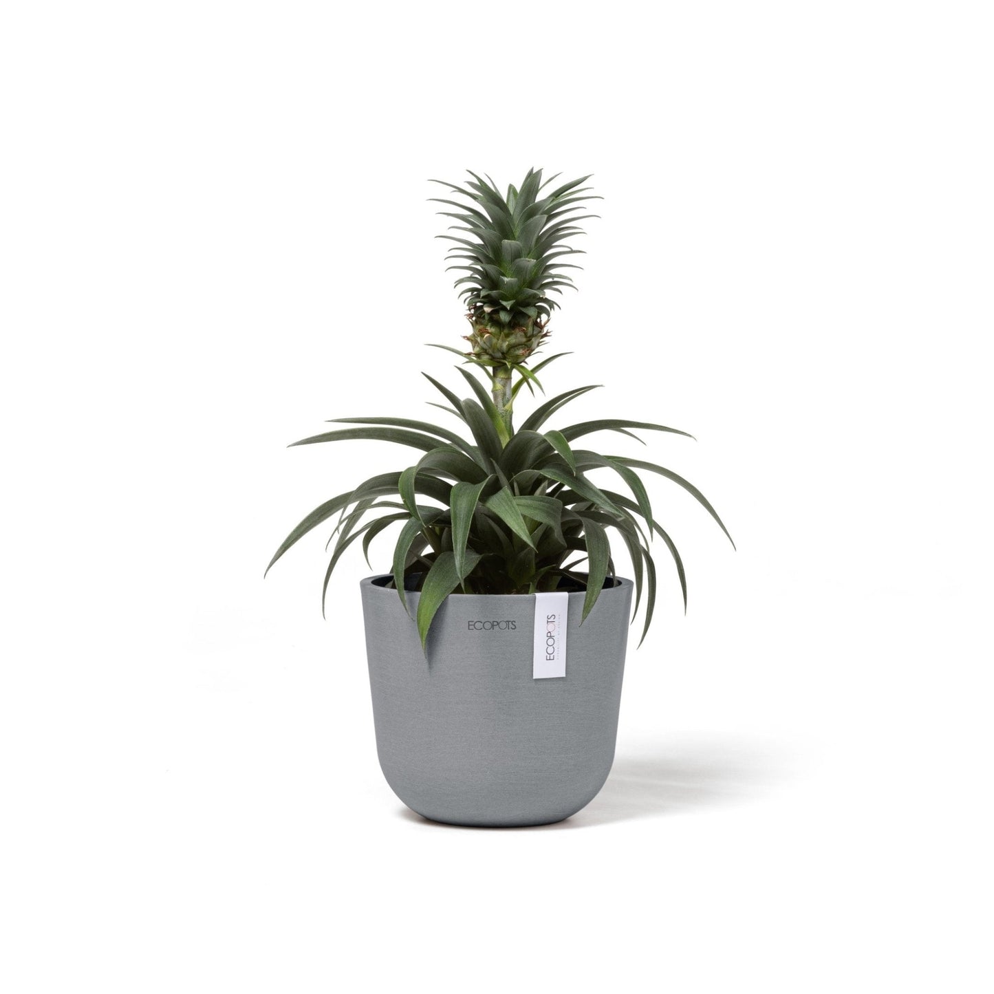 Kukkaruukku - Ecopots - Kukkaruukku Oslo 16cm siniharmaa - Ecopots - Uuden aikakauden kukkaruukku kierrätysmateriaalista