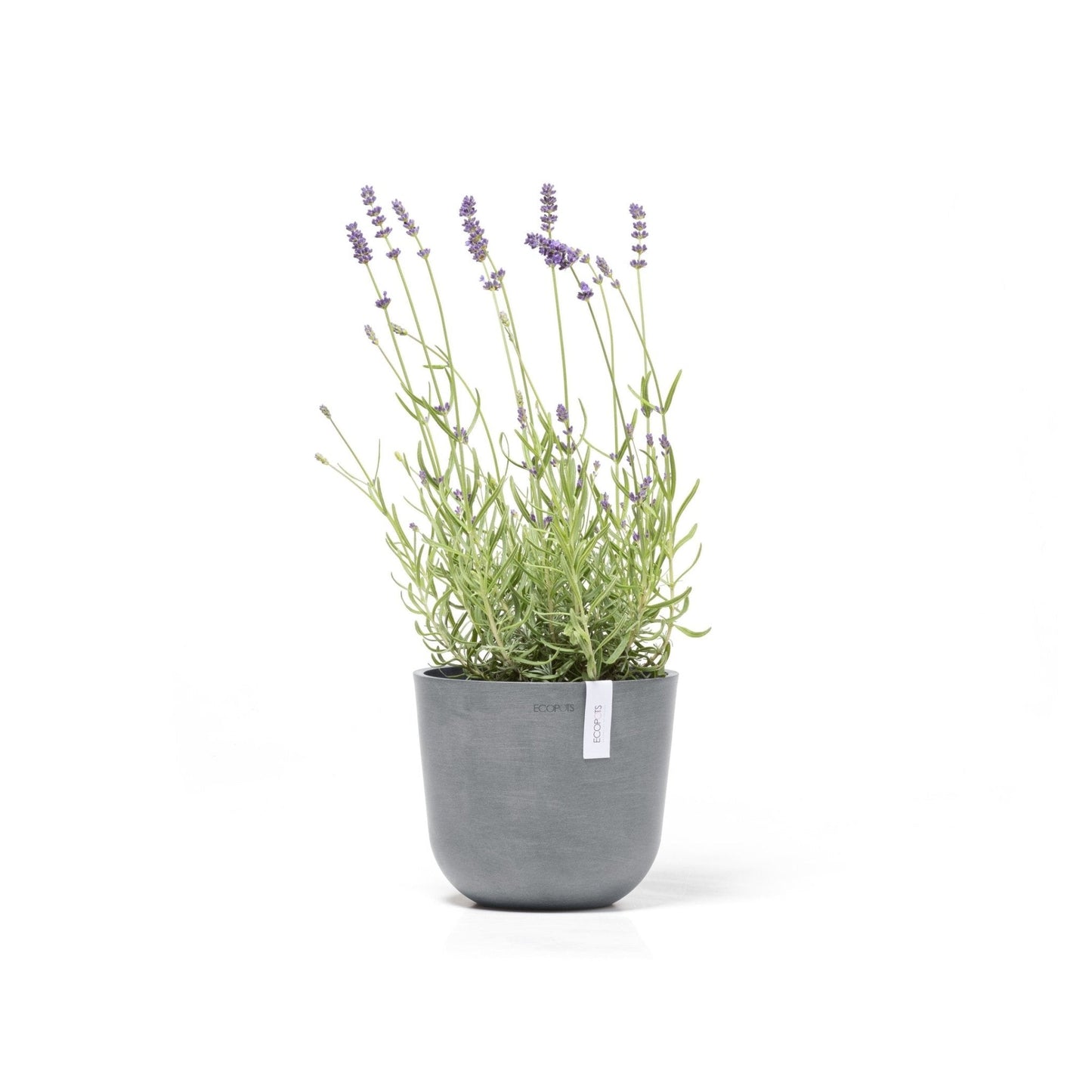 Kukkaruukku - Ecopots - Kukkaruukku Oslo 19cm siniharmaa - Ecopots - Uuden aikakauden kukkaruukku kierrätysmateriaalista