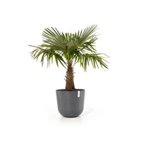 Kukkaruukku Oslo 75cm harmaa