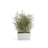 Kukkaruukku Pariisi 60cm valkoinen
