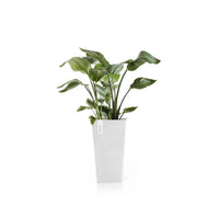 Rotterdam Mid-Height Planter 56cm White