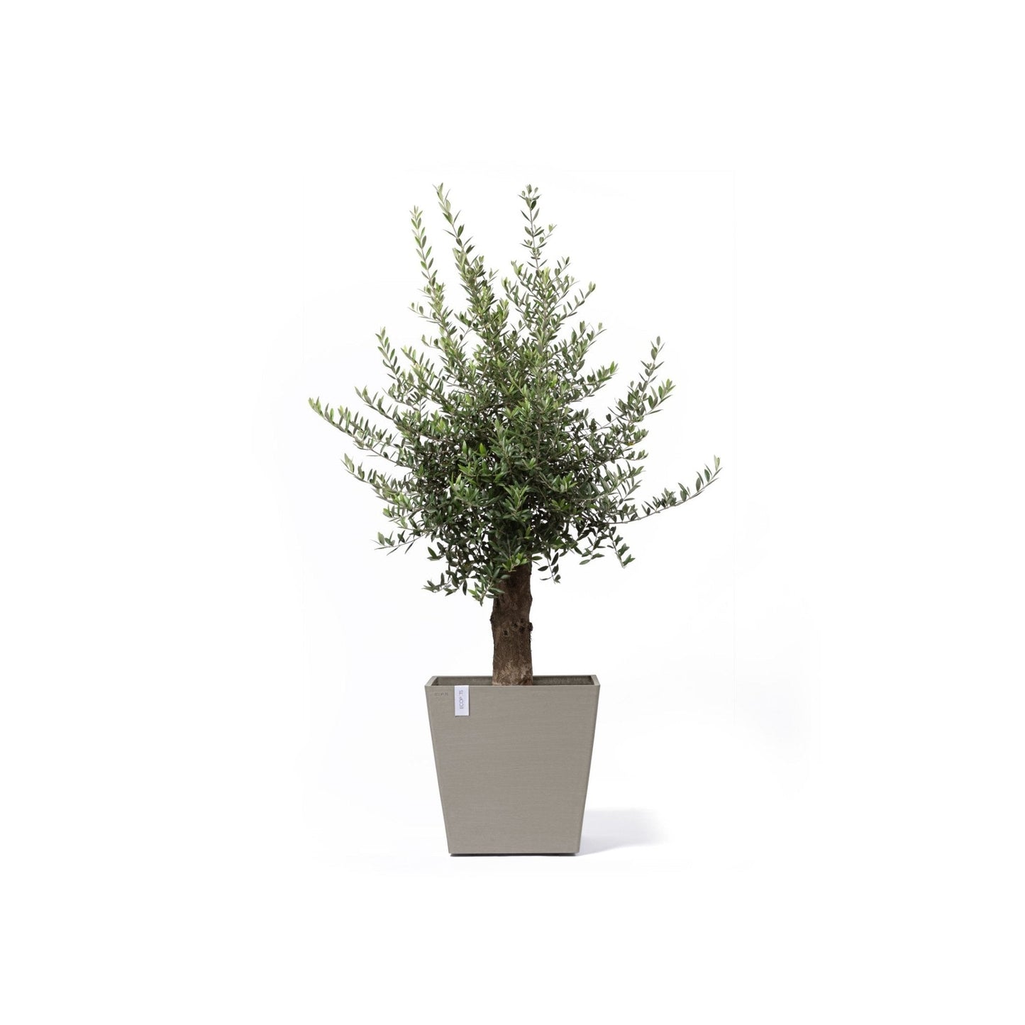 Kukkaruukku - Ecopots - Kukkaruukku Rotterdam pyörillä 50cm taupe - Ecopots - Uuden aikakauden kukkaruukku kierrätysmateriaalista