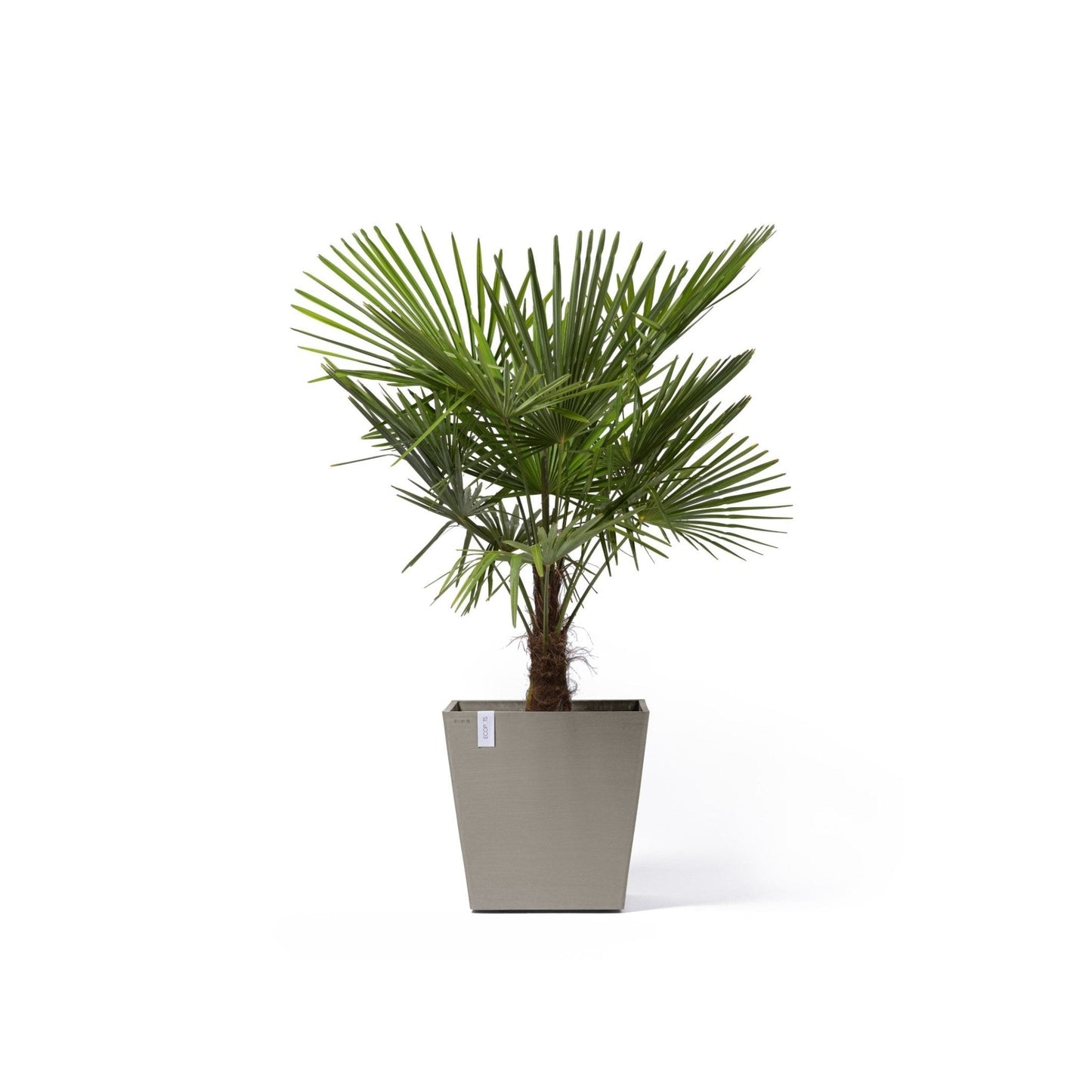 Kukkaruukku - Ecopots - Kukkaruukku Rotterdam pyörillä 50cm taupe - Ecopots - Uuden aikakauden kukkaruukku kierrätysmateriaalista