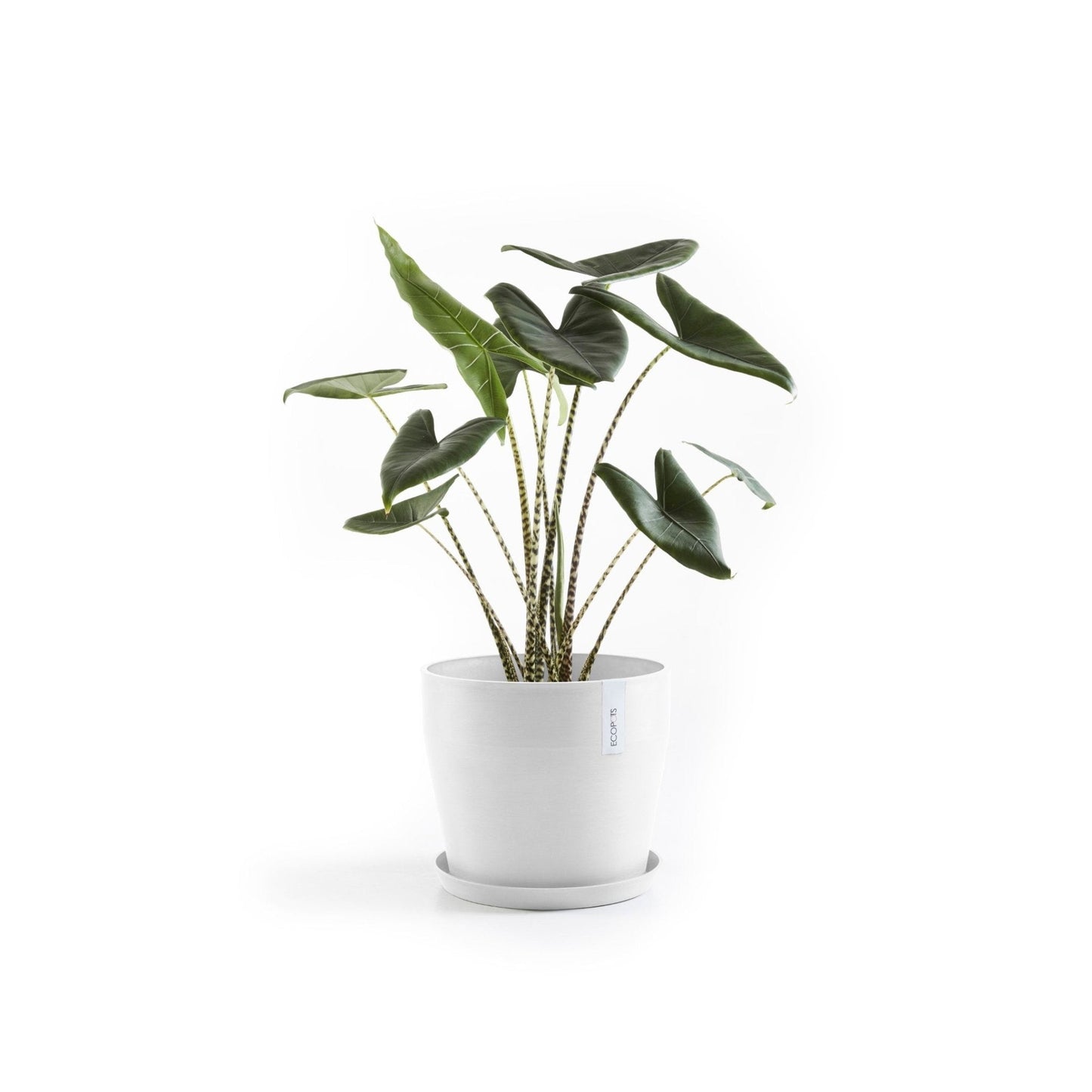 Kukkaruukku - Ecopots - Kukkaruukku Sankara 40cm valkoinen - Ecopots - Uuden aikakauden kukkaruukku kierrätysmateriaalista