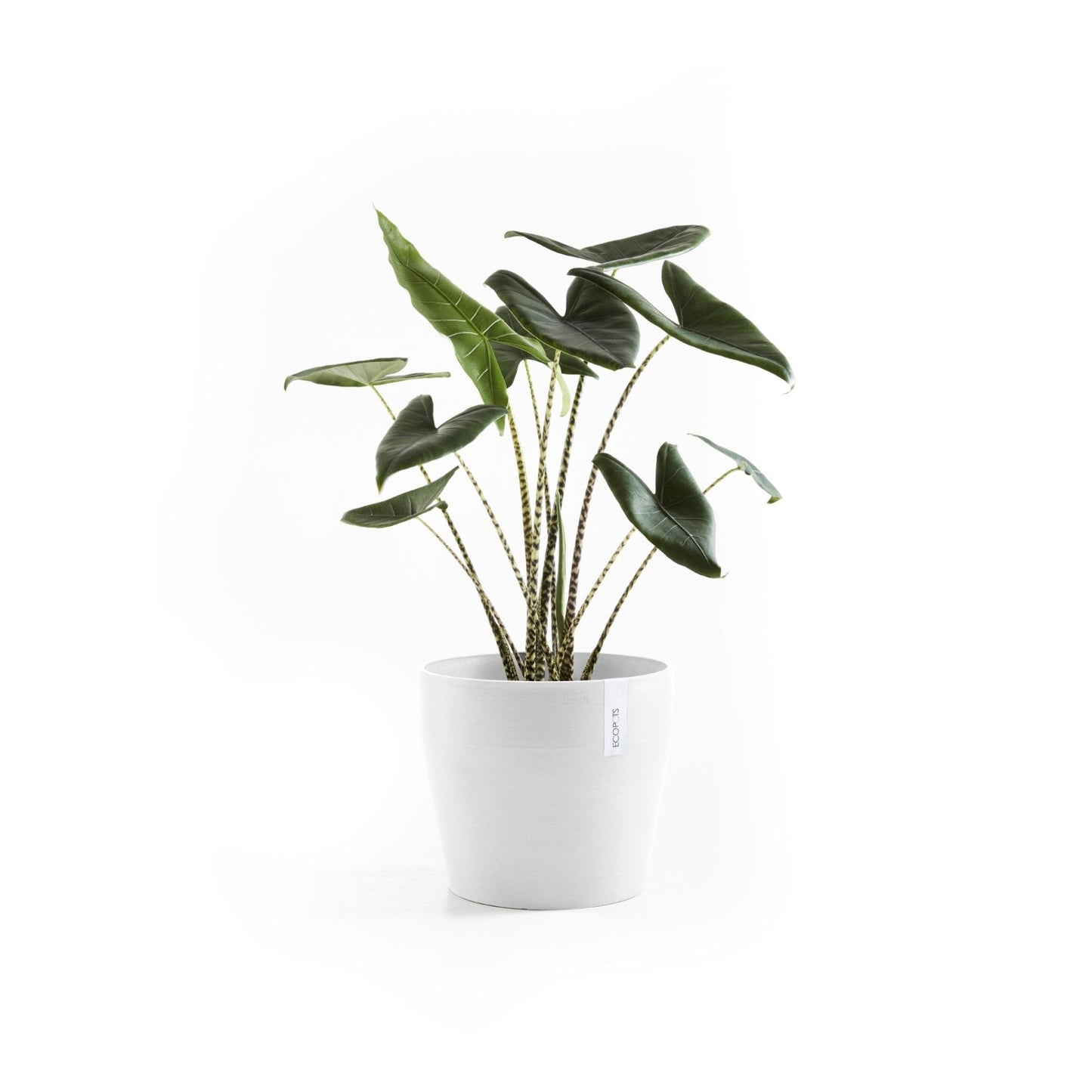 Kukkaruukku - Ecopots - Kukkaruukku Sankara 40cm valkoinen - Ecopots - Uuden aikakauden kukkaruukku kierrätysmateriaalista