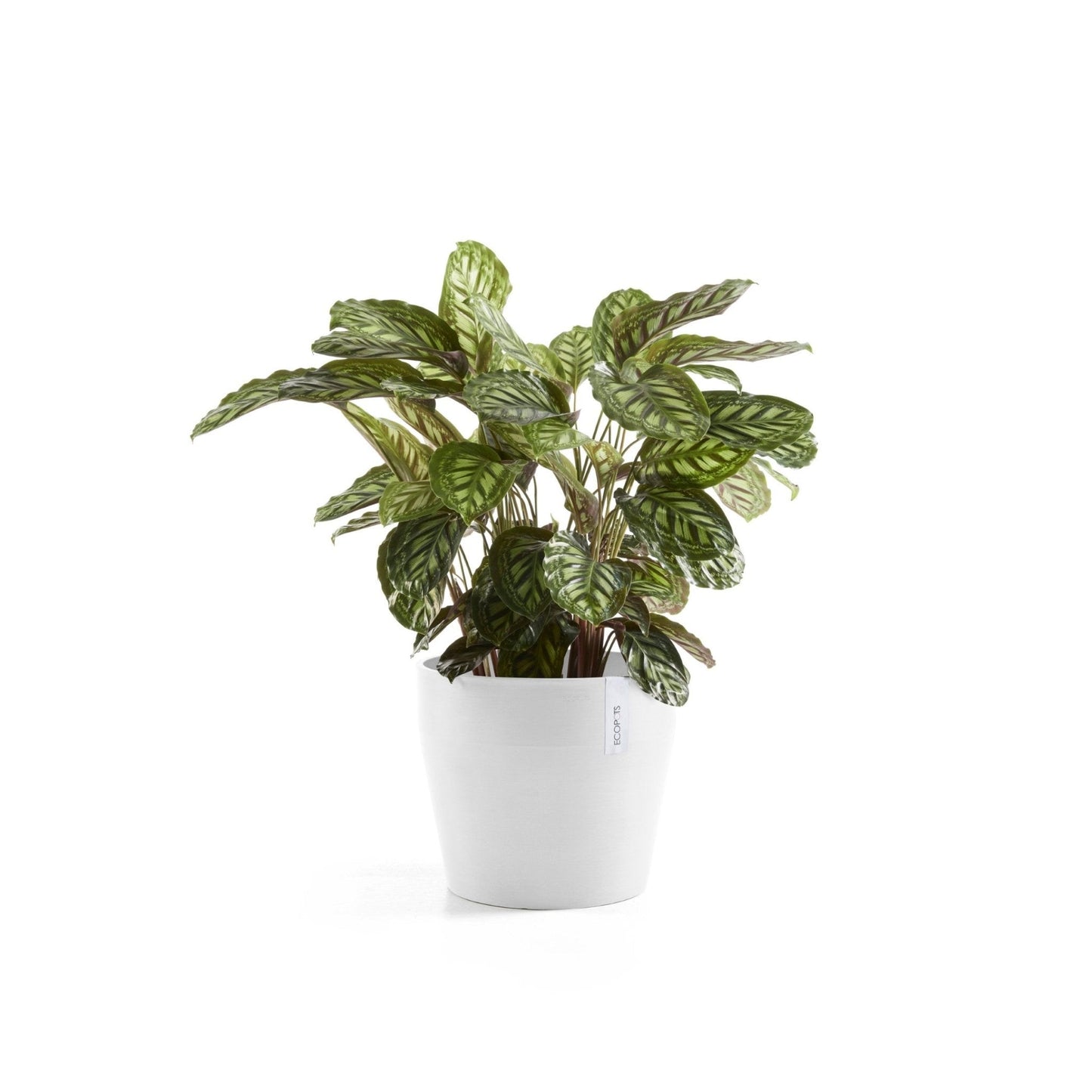 Kukkaruukku - Ecopots - Kukkaruukku Sankara 40cm valkoinen - Ecopots - Uuden aikakauden kukkaruukku kierrätysmateriaalista