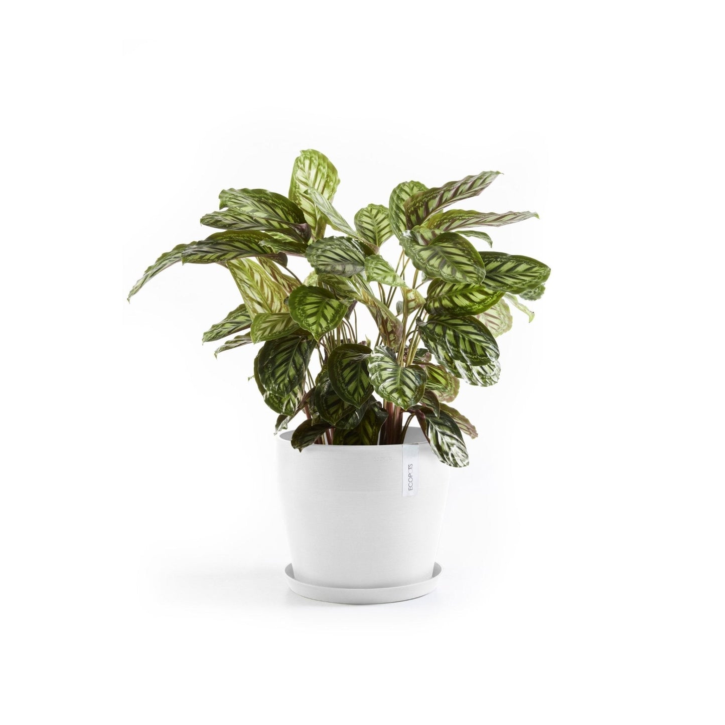 Kukkaruukku - Ecopots - Kukkaruukku Sankara 40cm valkoinen - Ecopots - Uuden aikakauden kukkaruukku kierrätysmateriaalista