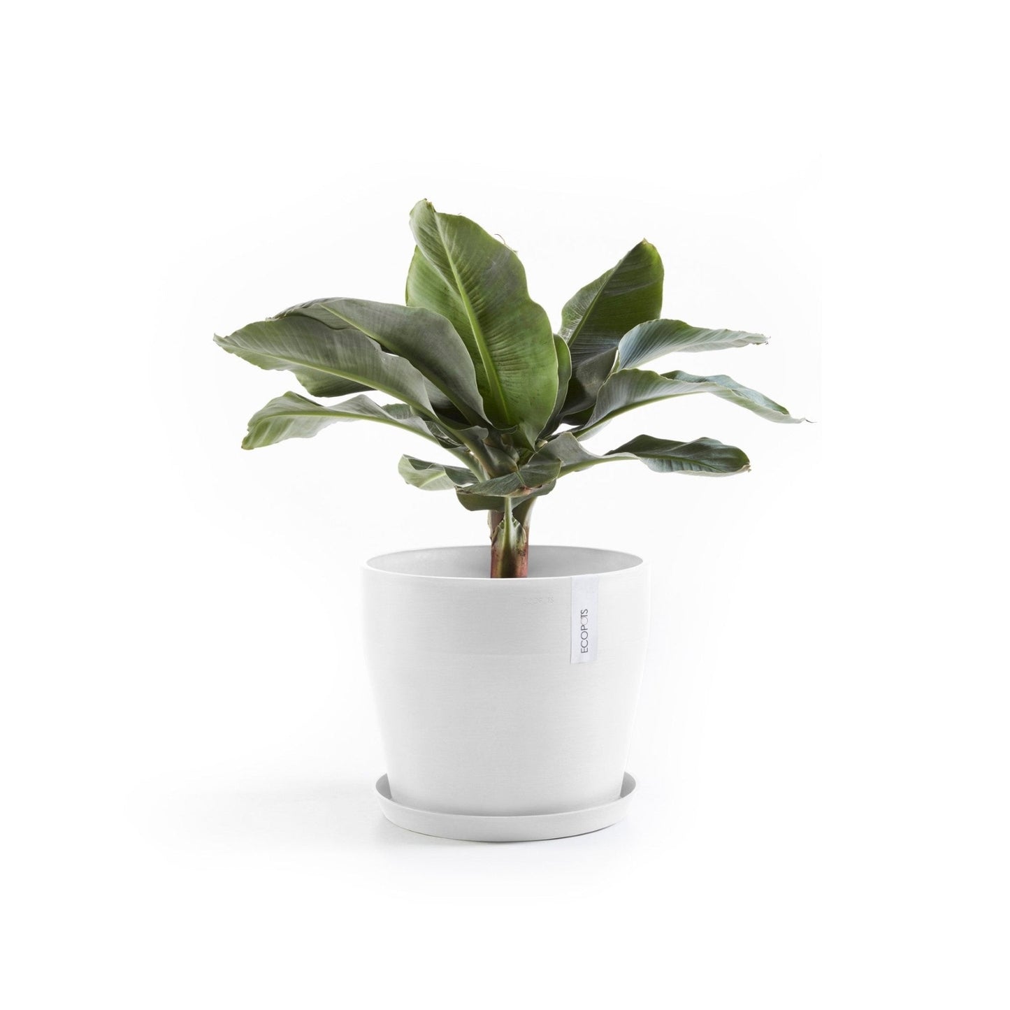 Kukkaruukku - Ecopots - Kukkaruukku Sankara 40cm valkoinen - Ecopots - Uuden aikakauden kukkaruukku kierrätysmateriaalista