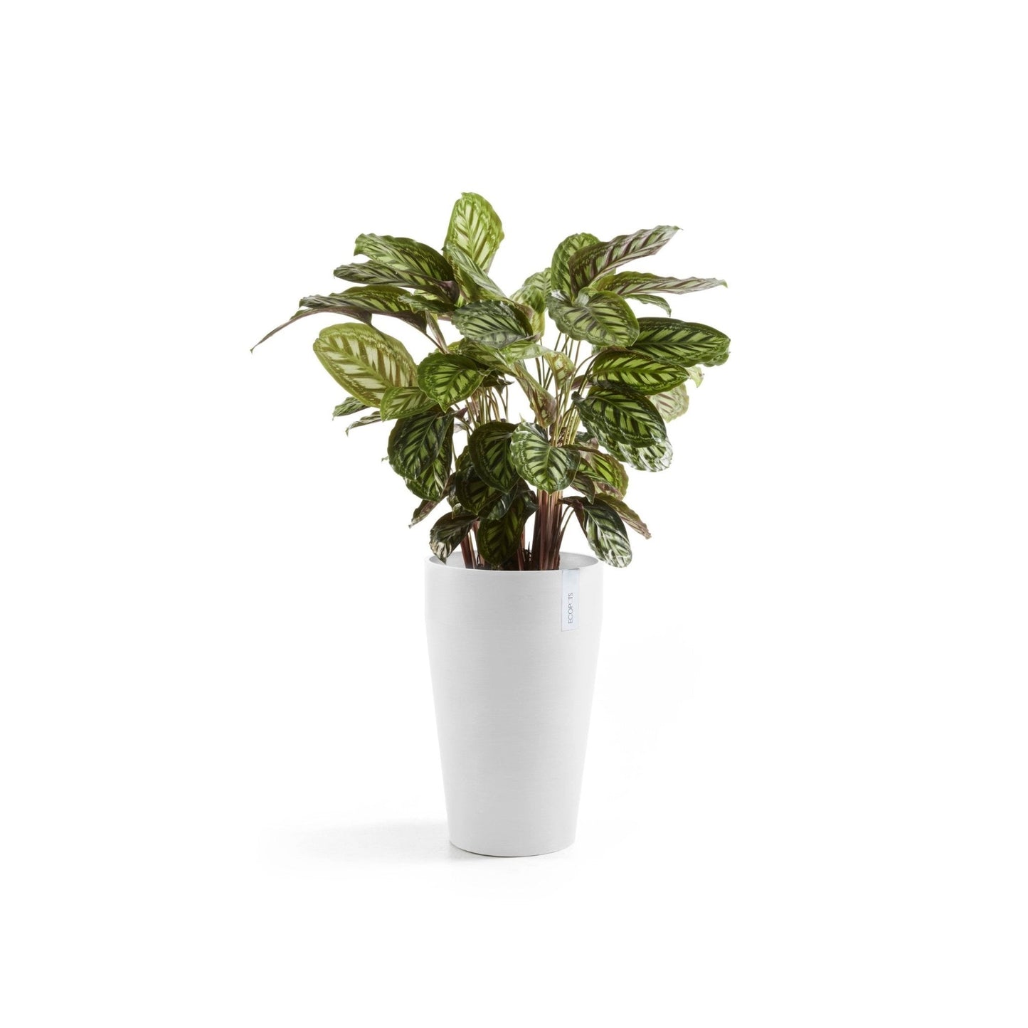 Kukkaruukku - Ecopots - Kukkaruukku Sankara keskikorkea 55cm valkoinen - Ecopots - Uuden aikakauden kukkaruukku kierrätysmateriaalista