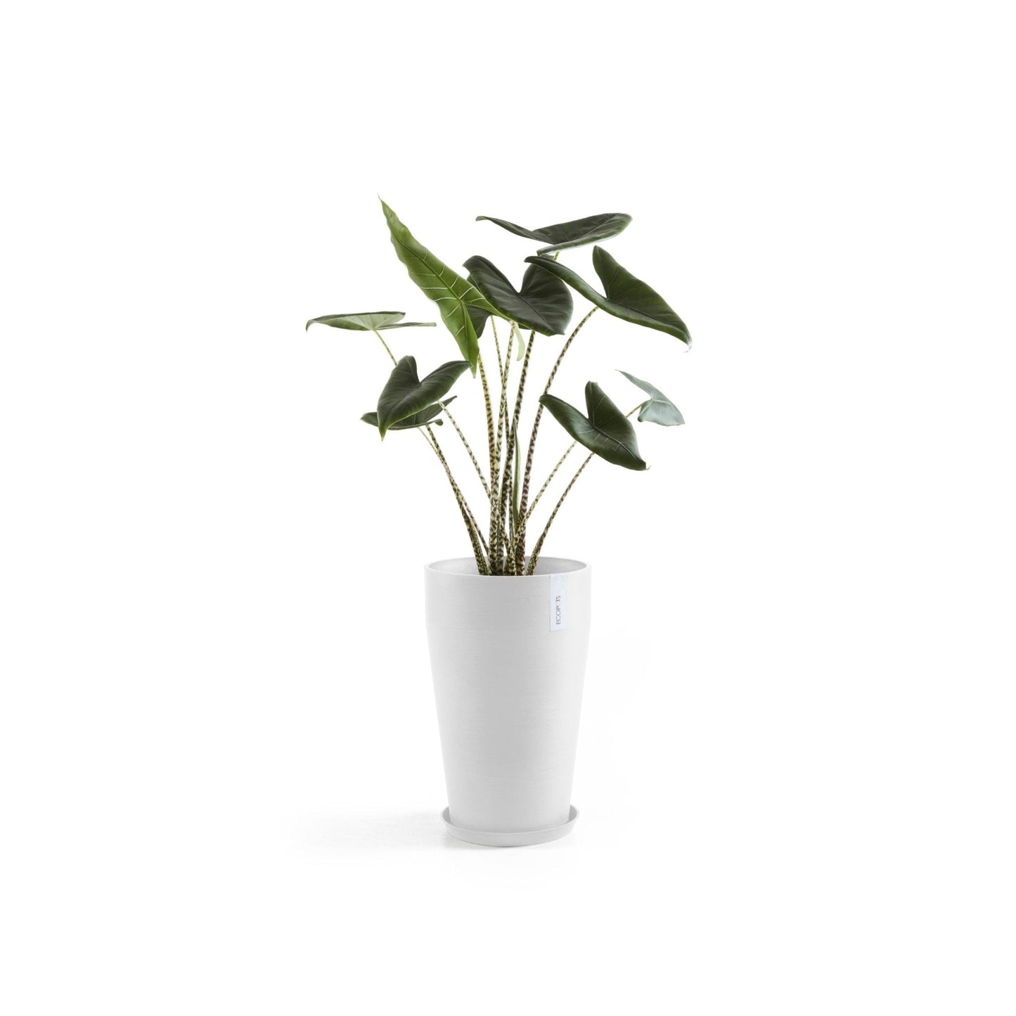 Kukkaruukku - Ecopots - Kukkaruukku Sankara keskikorkea 55cm valkoinen - Ecopots - Uuden aikakauden kukkaruukku kierrätysmateriaalista