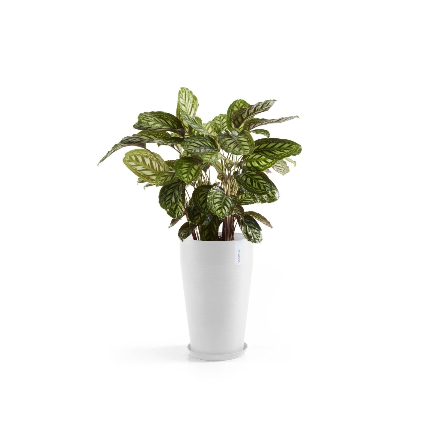 Kukkaruukku - Ecopots - Kukkaruukku Sankara keskikorkea 55cm valkoinen - Ecopots - Uuden aikakauden kukkaruukku kierrätysmateriaalista