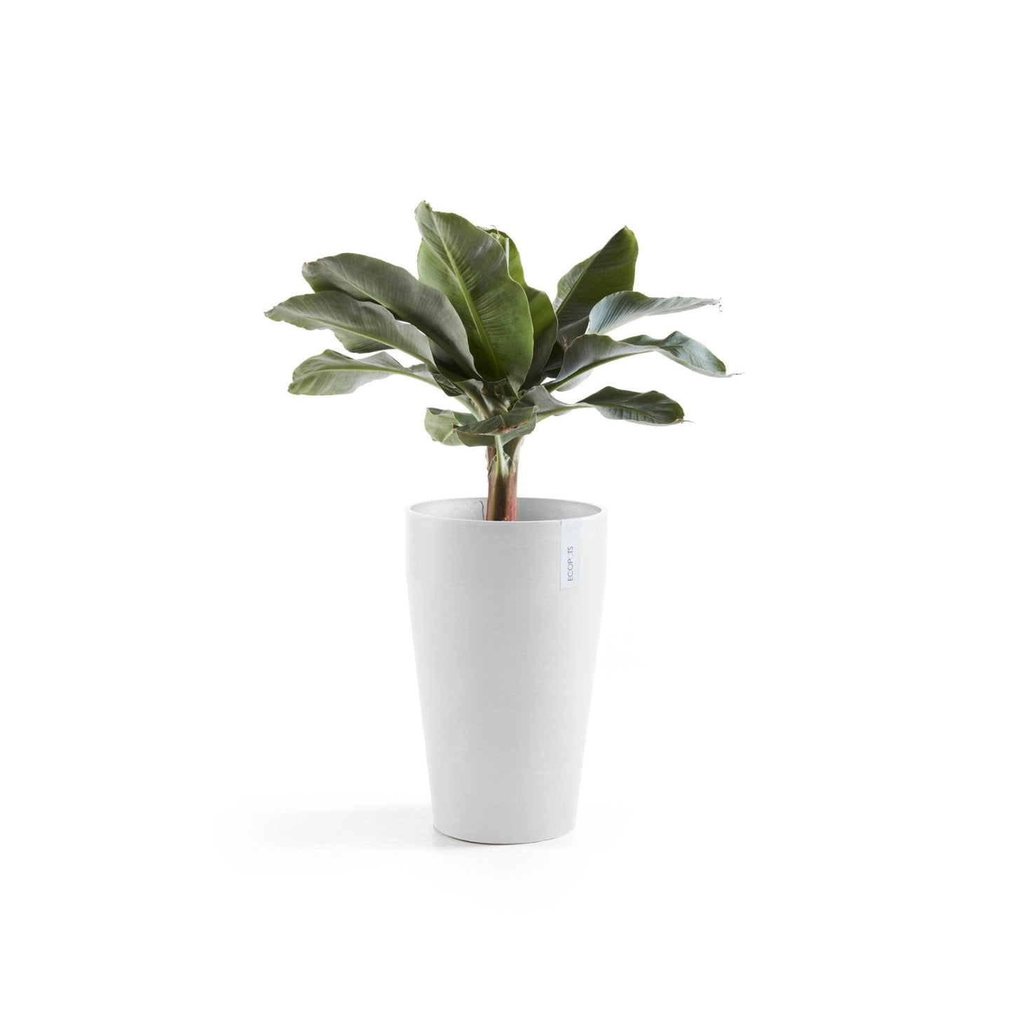 Kukkaruukku - Ecopots - Kukkaruukku Sankara keskikorkea 55cm valkoinen - Ecopots - Uuden aikakauden kukkaruukku kierrätysmateriaalista