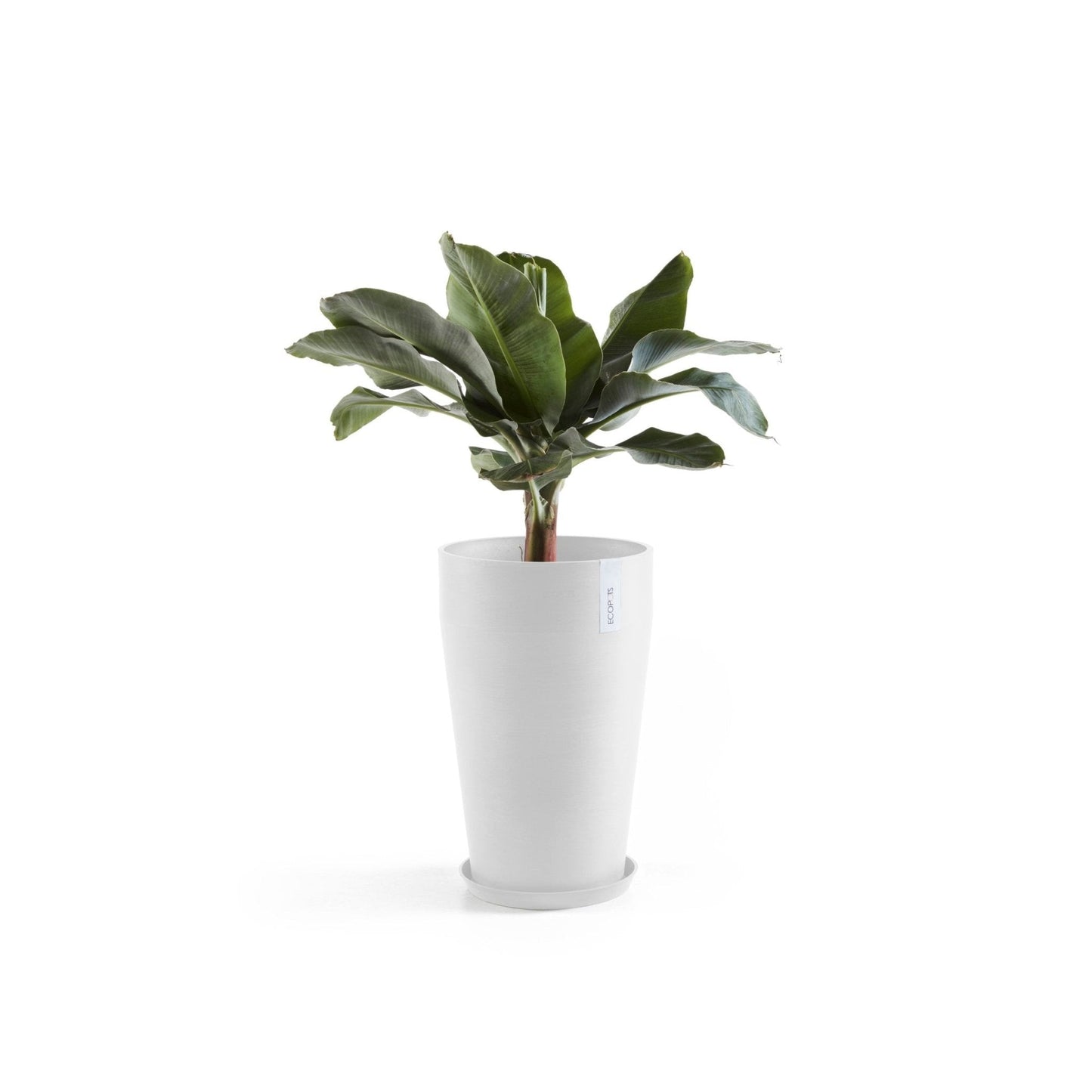 Kukkaruukku - Ecopots - Kukkaruukku Sankara keskikorkea 55cm valkoinen - Ecopots - Uuden aikakauden kukkaruukku kierrätysmateriaalista