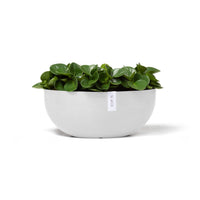 Lillepott Sofia 43cm valge