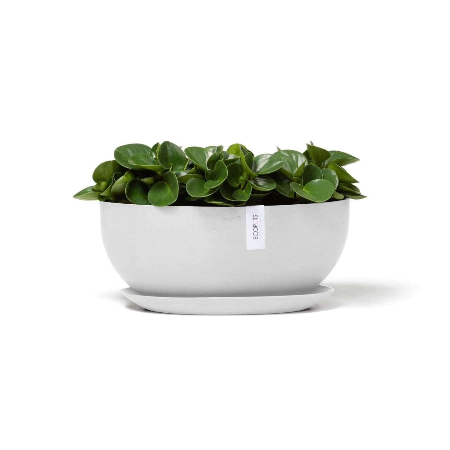 Kukkaruukku - Ecopots - Kukkaruukku Sofia 43cm valkoinen - Ecopots - Uuden aikakauden kukkaruukku kierrätysmateriaalista