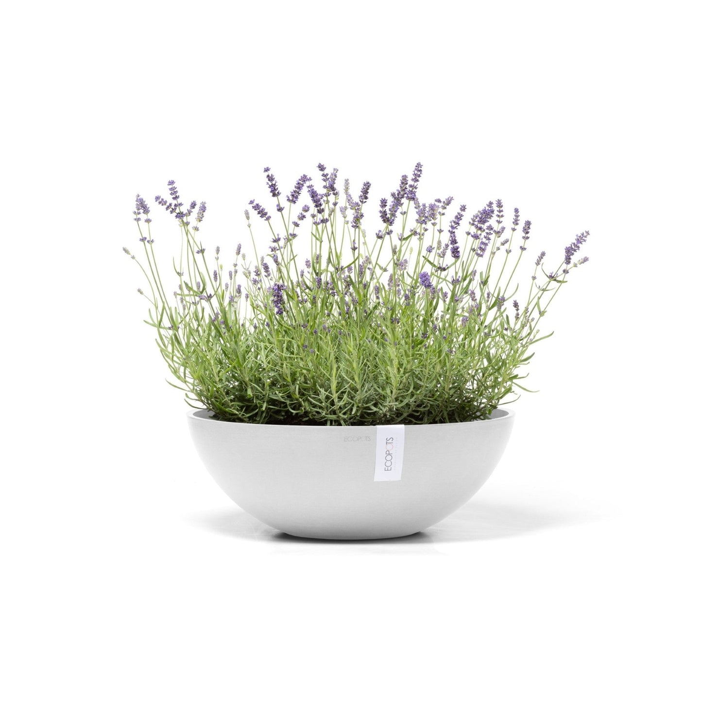 Kukkaruukku - Ecopots - Kukkaruukku Vienna 50cm valkoinen - Ecopots - Uuden aikakauden kukkaruukku kierrätysmateriaalista