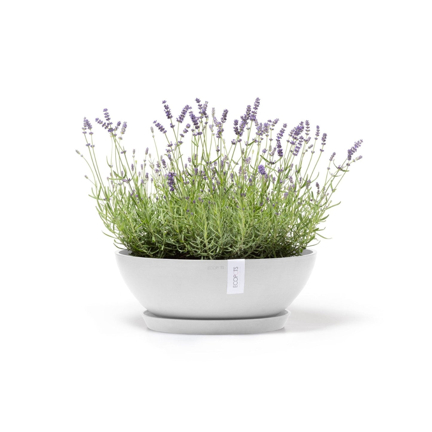 Kukkaruukku - Ecopots - Kukkaruukku Vienna 50cm valkoinen - Ecopots - Uuden aikakauden kukkaruukku kierrätysmateriaalista