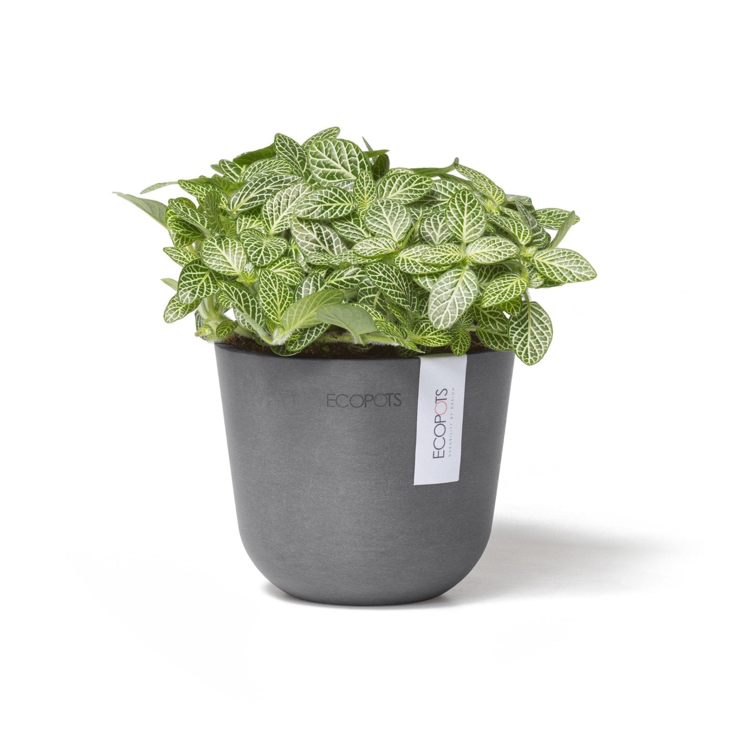 Kukkaruukku - Ecopots - Oslo 11,5cm harmaa - Ecopots - Uuden aikakauden kukkaruukku kierrätysmateriaalista
