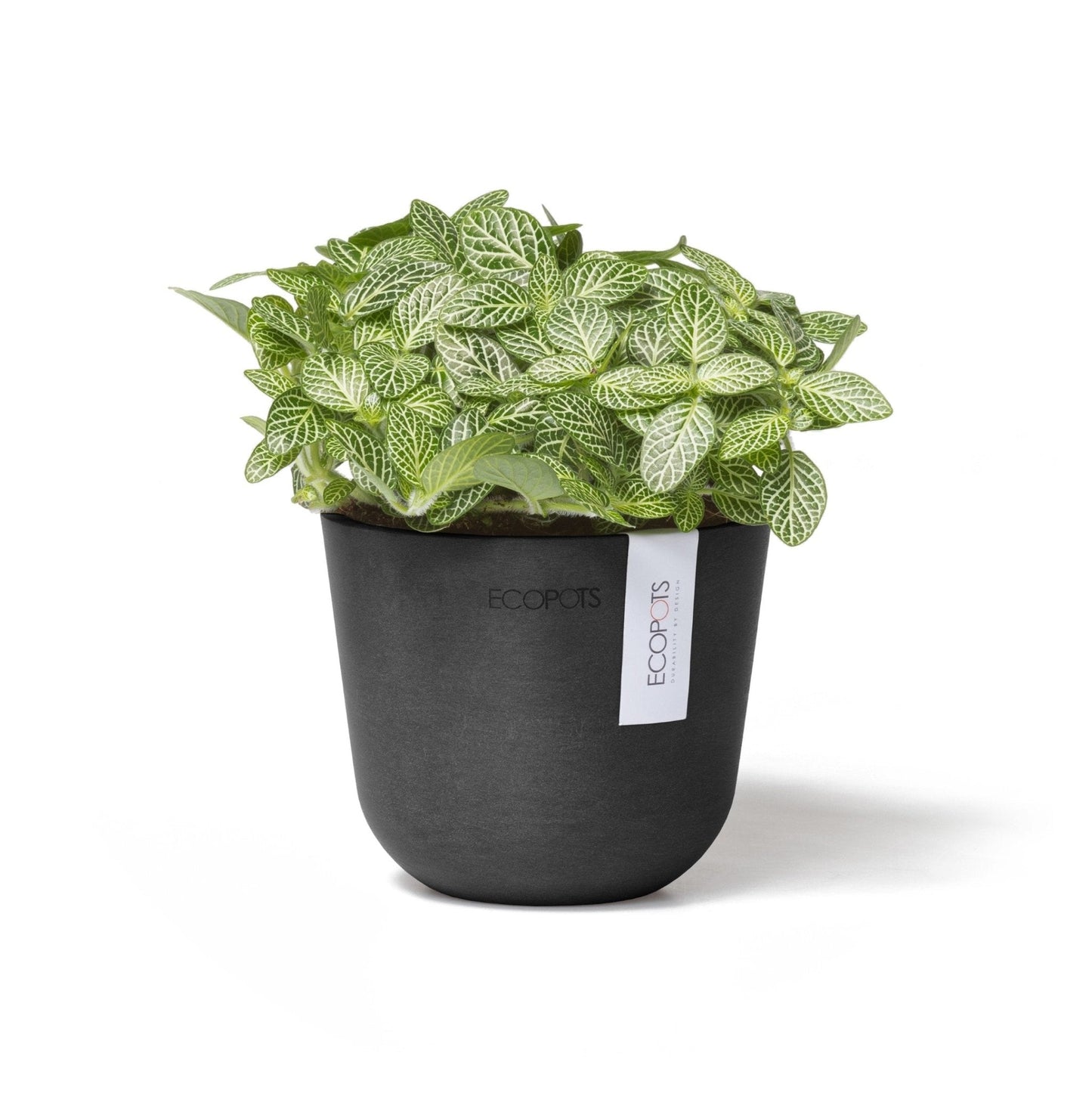 Kukkaruukku - Ecopots - Oslo 11,5cm tummanharmaa - Ecopots - Uuden aikakauden kukkaruukku kierrätysmateriaalista