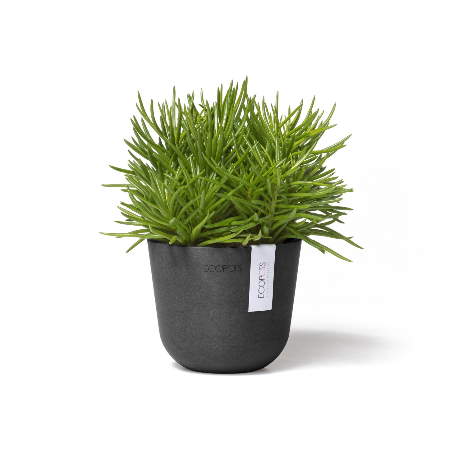Kukkaruukku - Ecopots - Oslo 11,5cm tummanharmaa - Ecopotskauppa - Uuden aikakauden kukkaruukku