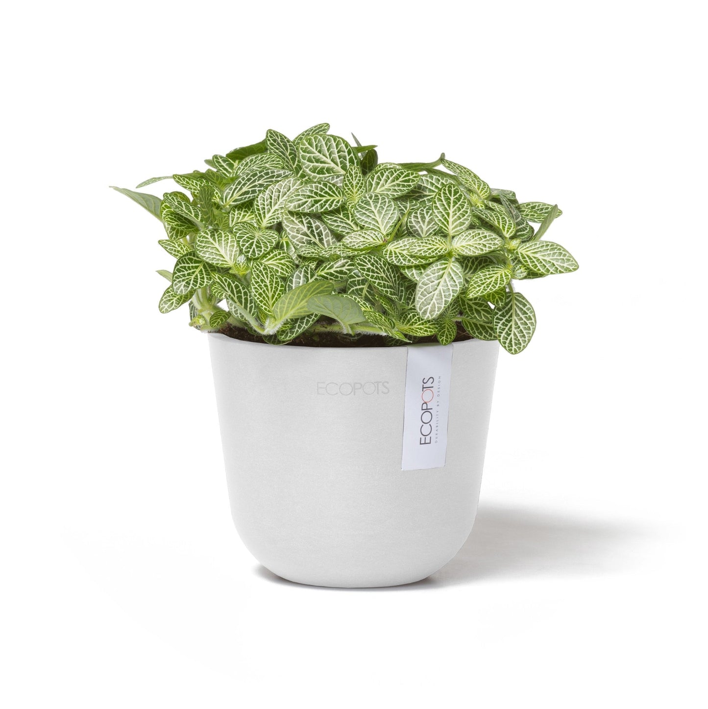 Kukkaruukku - Ecopots - Oslo 11,5cm valkoinen - Ecopotskauppa - Uuden aikakauden kukkaruukku