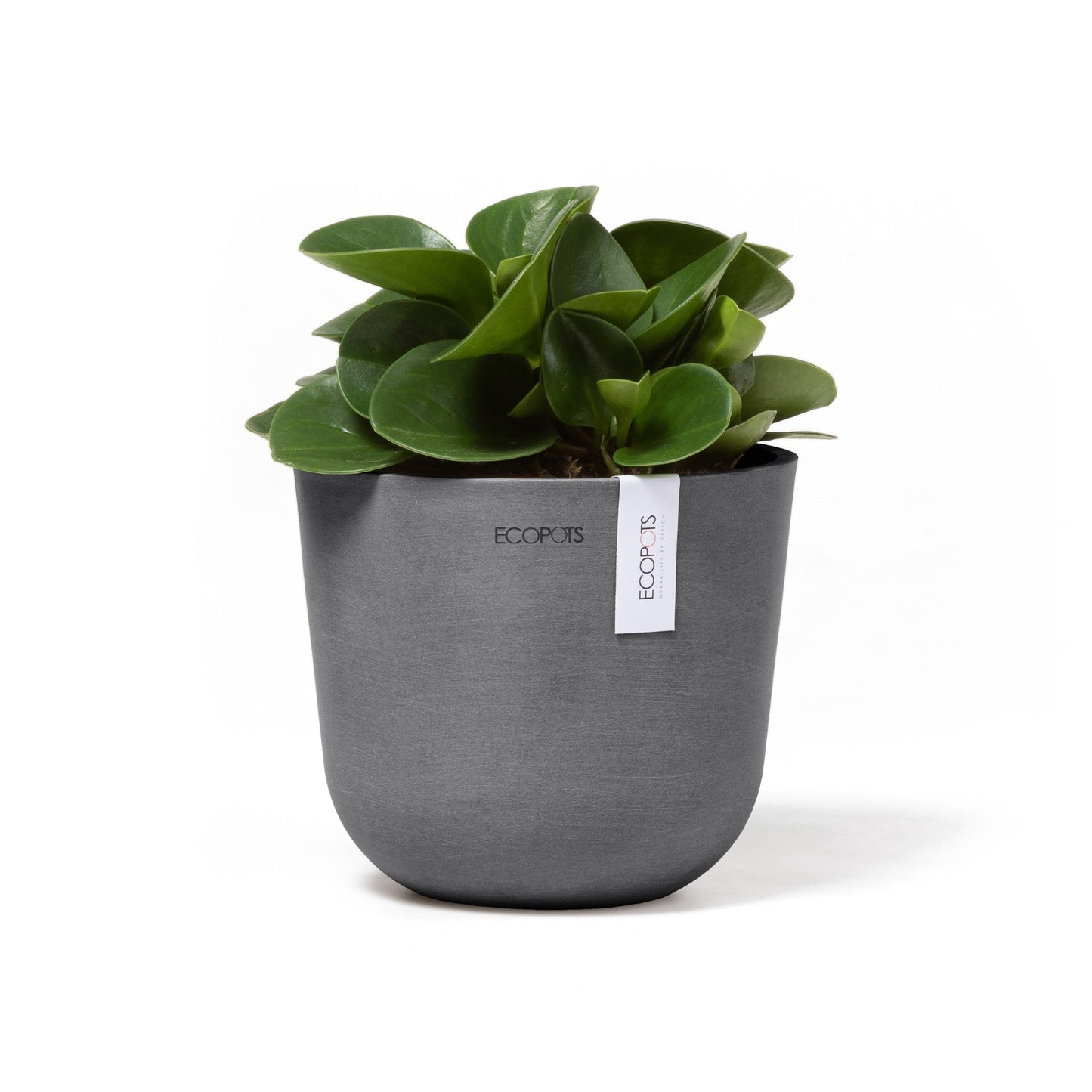 Kukkaruukku - Ecopots - Oslo 16cm harmaa - Ecopotskauppa - Uuden aikakauden kukkaruukku