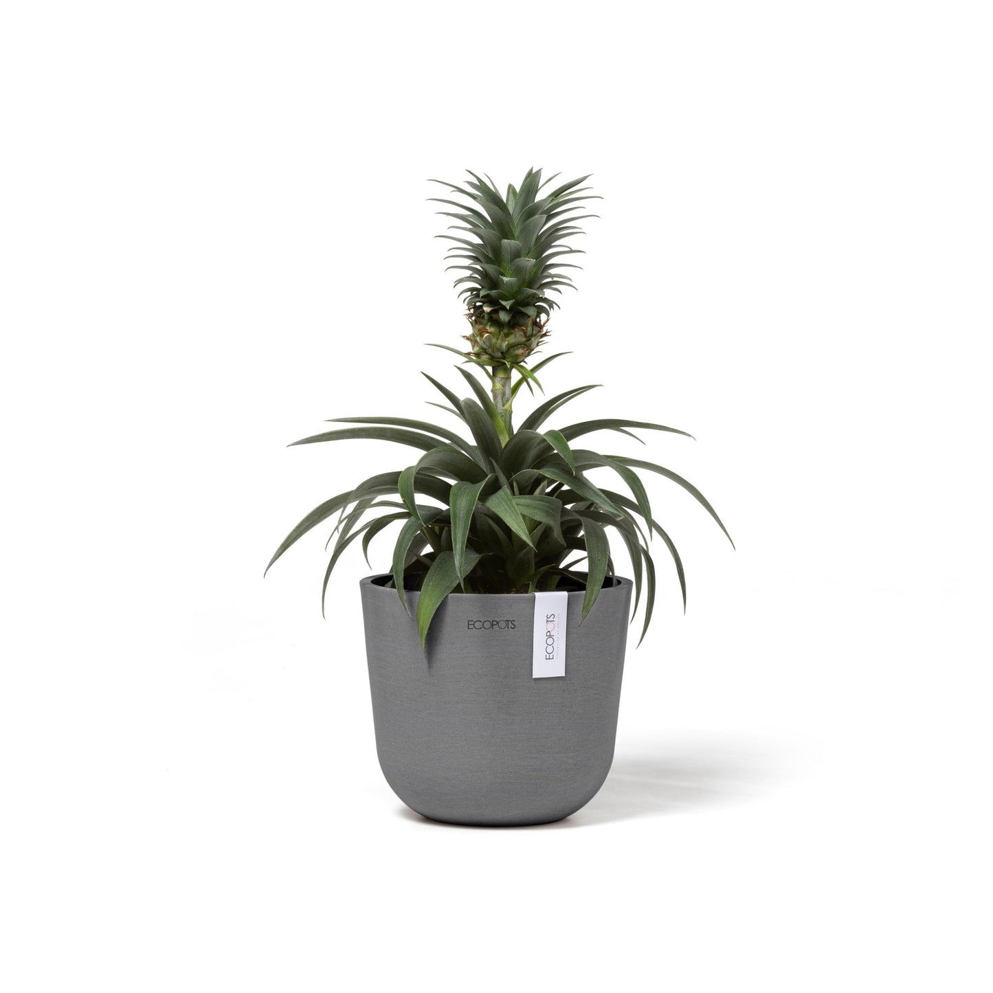 Kukkaruukku - Ecopots - Oslo 16cm harmaa - Ecopotskauppa - Uuden aikakauden kukkaruukku