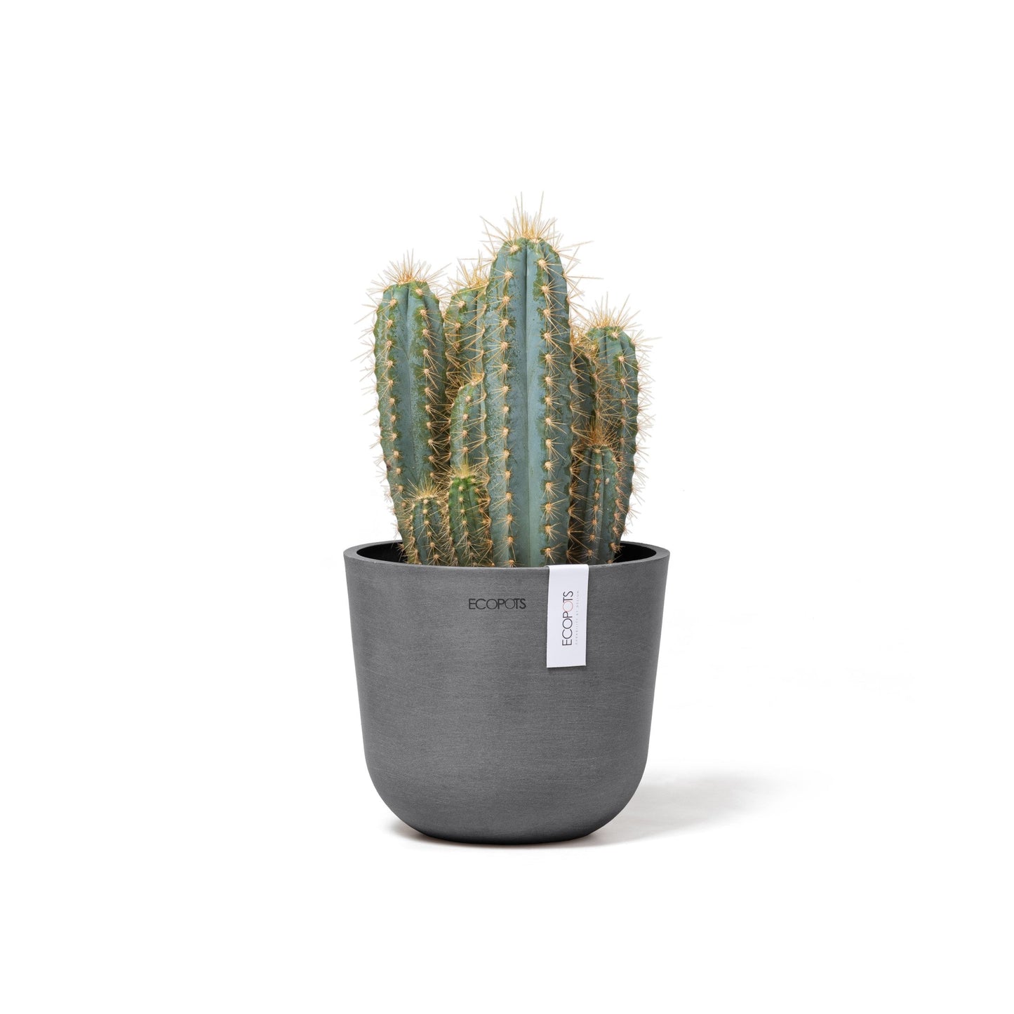 Kukkaruukku - Ecopots - Oslo 16cm harmaa - Ecopotskauppa - Uuden aikakauden kukkaruukku