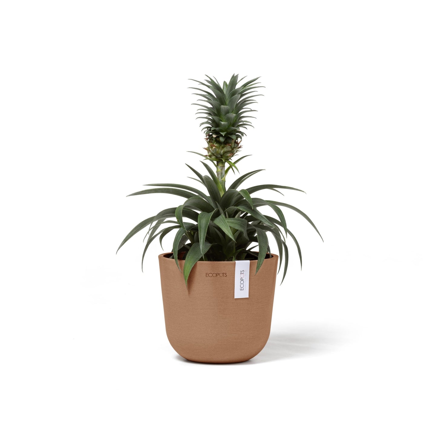 Kukkaruukku - Ecopots - Oslo 16cm terracotta - Ecopotskauppa - Uuden aikakauden kukkaruukku