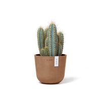 Lillepott Oslo 16cm terrakota