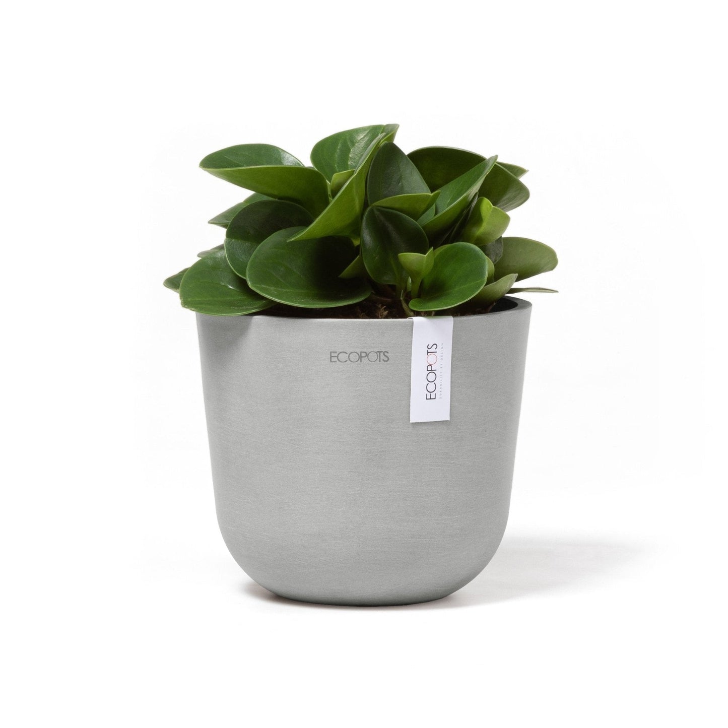 Kukkaruukku - Ecopots - Oslo 16cm valkoharmaa - Ecopotskauppa - Uuden aikakauden kukkaruukku