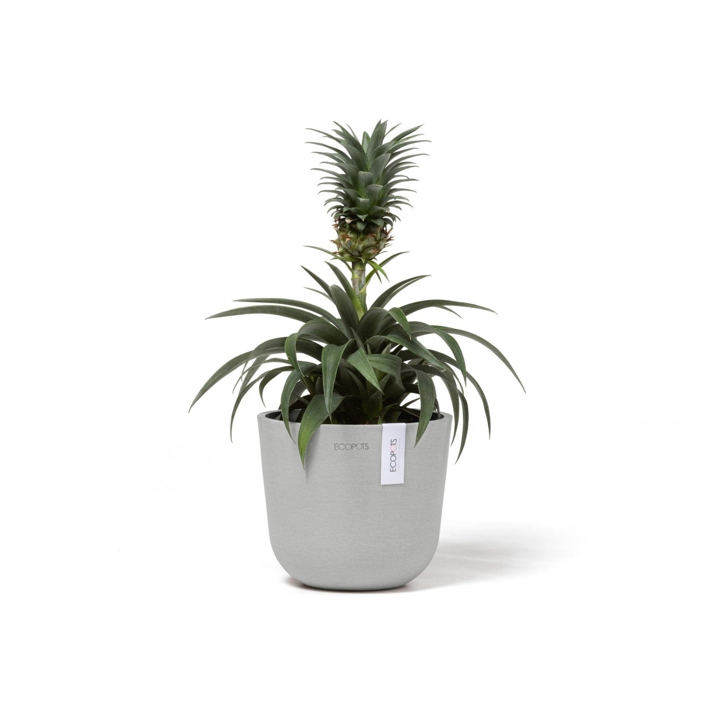 Kukkaruukku - Ecopots - Oslo 16cm valkoharmaa - Ecopotskauppa - Uuden aikakauden kukkaruukku
