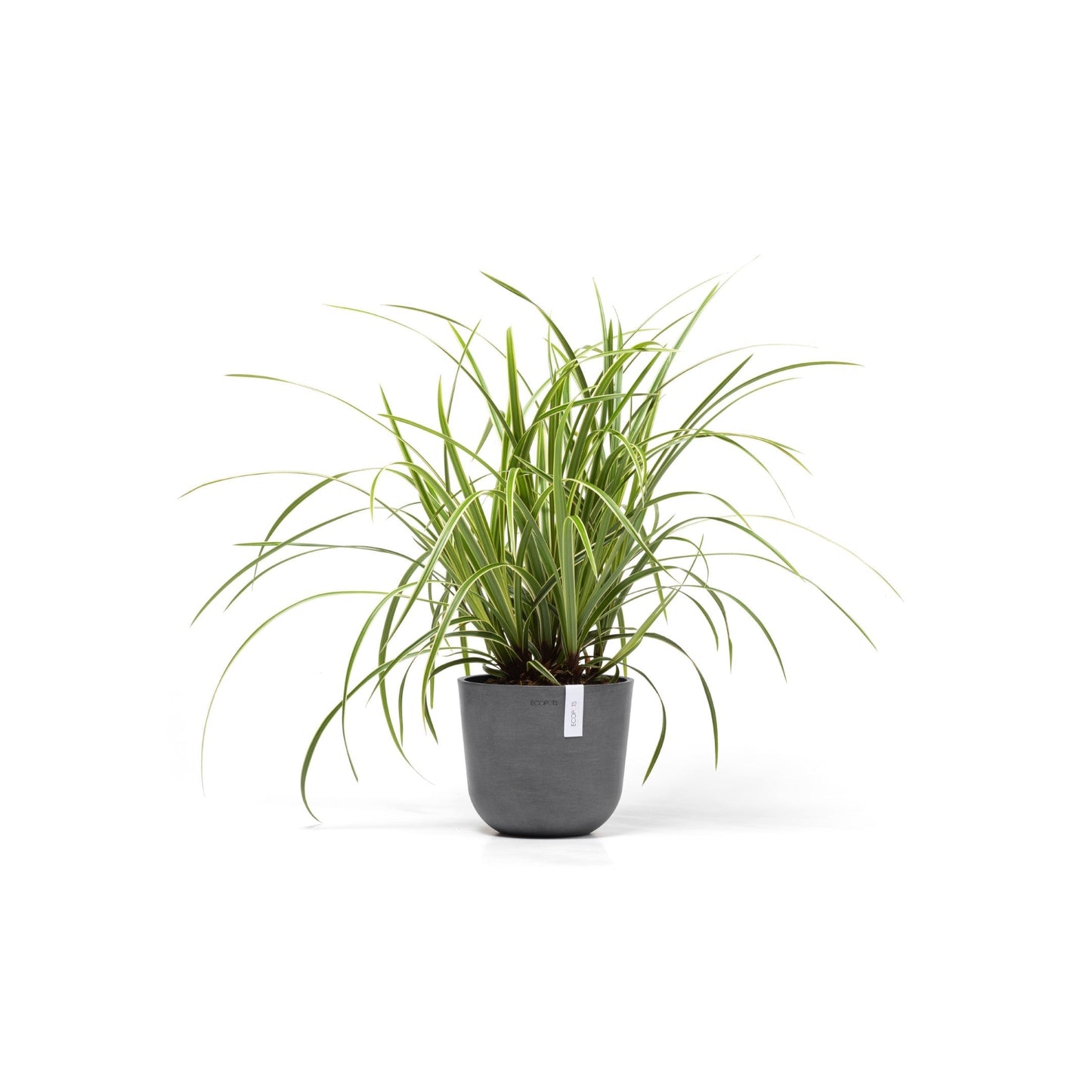 Kukkaruukku - Ecopots - Oslo 19cm harmaa - Ecopotskauppa - Uuden aikakauden kukkaruukku