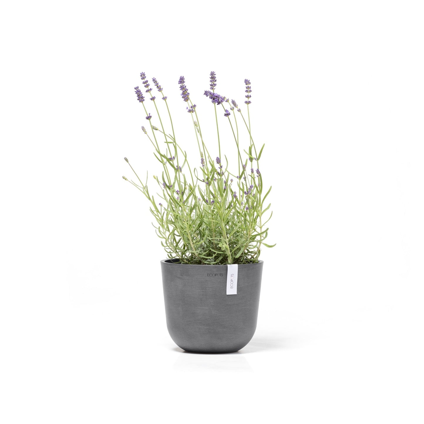 Kukkaruukku - Ecopots - Oslo 19cm harmaa - Ecopotskauppa - Uuden aikakauden kukkaruukku