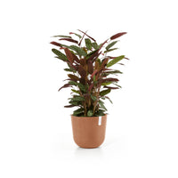 Lillepott Oslo 35cm terrakota