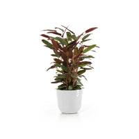 Lillepott Oslo 35cm valge