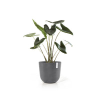 Lillepott Oslo 45cm hall