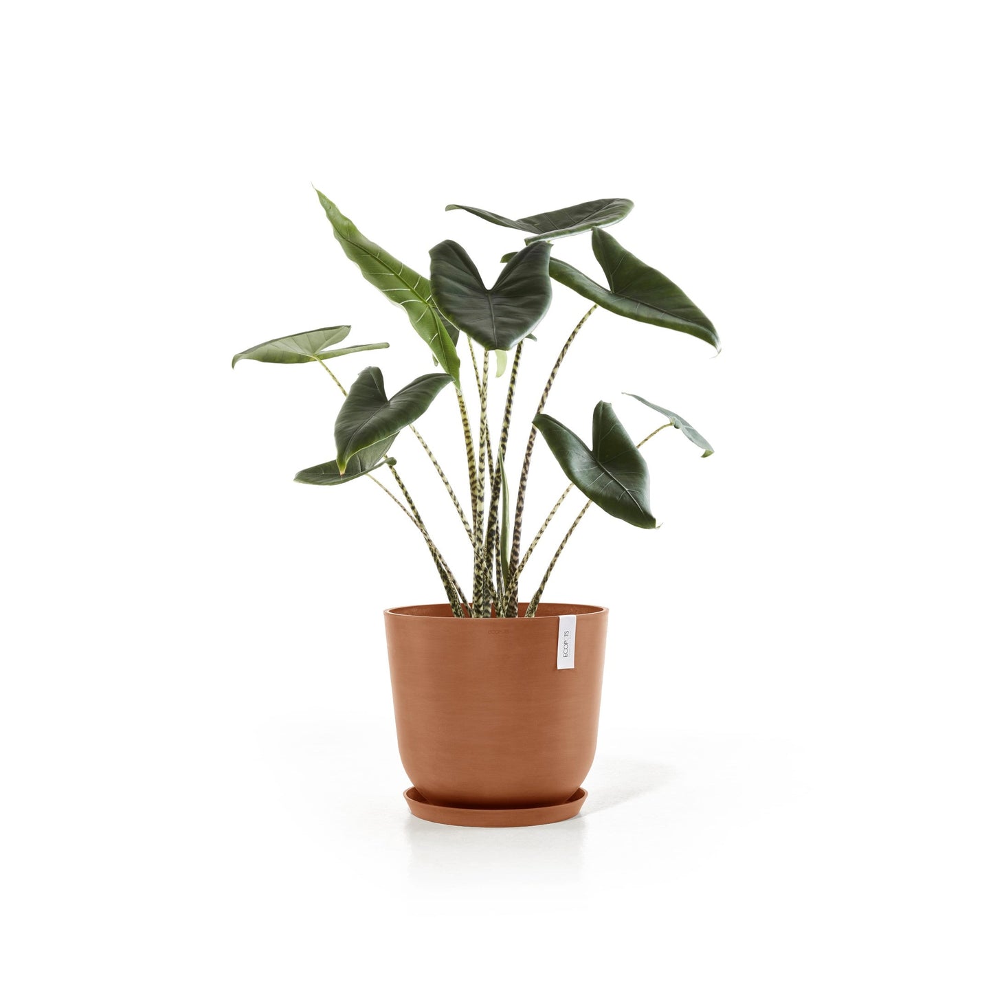 Kukkaruukku - Ecopots - Oslo 45cm terracotta - Ecopotskauppa - Uuden aikakauden kukkaruukku