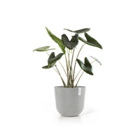 Lillepott Oslo 45cm valgehall