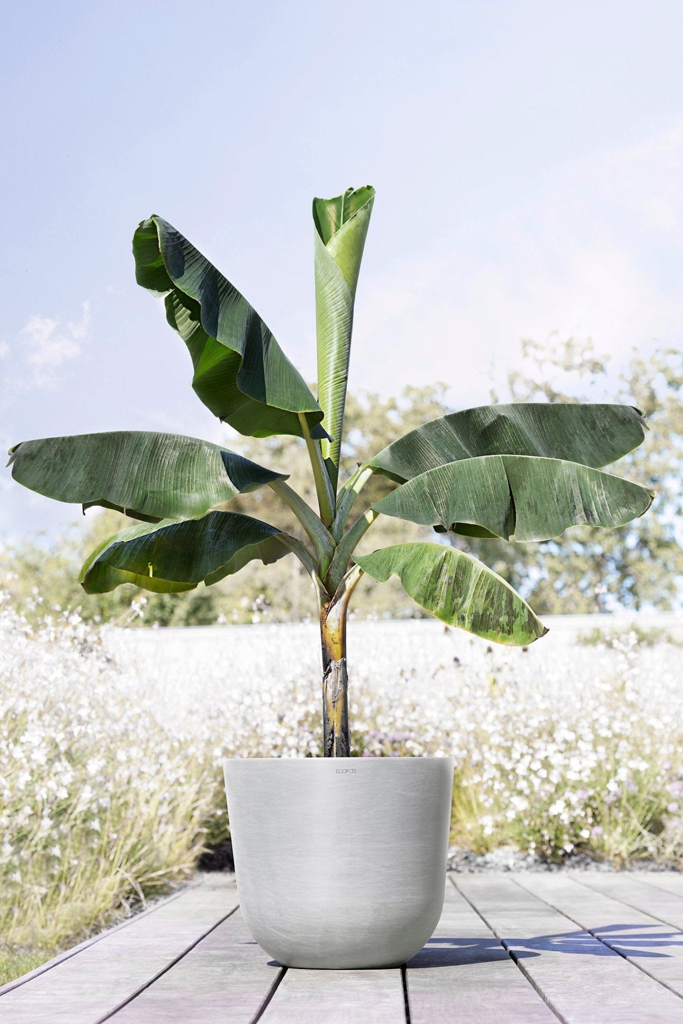 Kukkaruukku - Ecopots - Oslo 45cm valkoharmaa - Ecopots - Uuden aikakauden kukkaruukku kierrätysmateriaalista