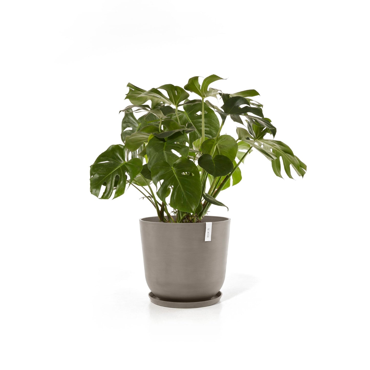 Kukkaruukku - Ecopots - Oslo 55cm taupe - Ecopotskauppa - Uuden aikakauden kukkaruukku