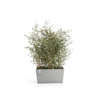Kukkaruukku Pariisi 80cm valkoharmaa