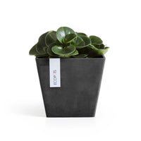 Lillepott Rotterdam 20cm tumehall