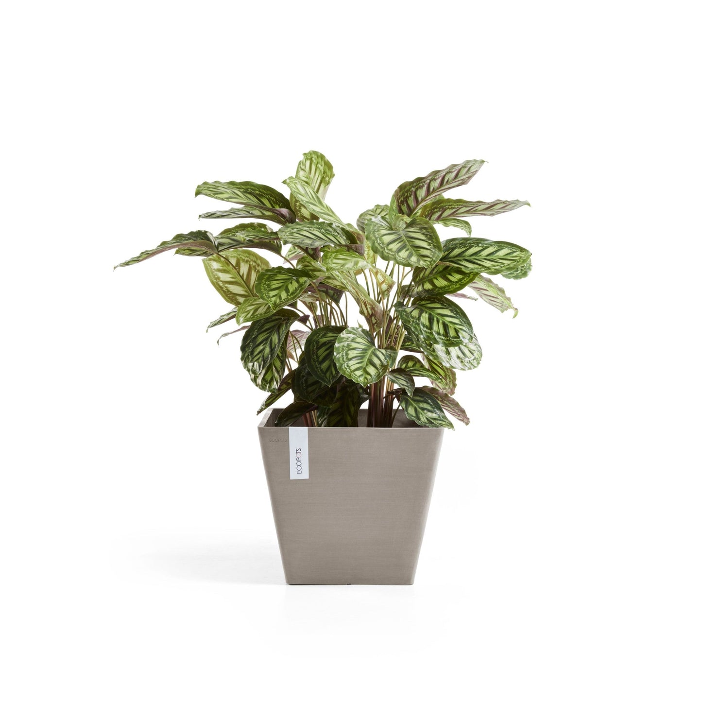 Kukkaruukku - Ecopots - Rotterdam 30cm taupe - Ecopotskauppa - Uuden aikakauden kukkaruukku