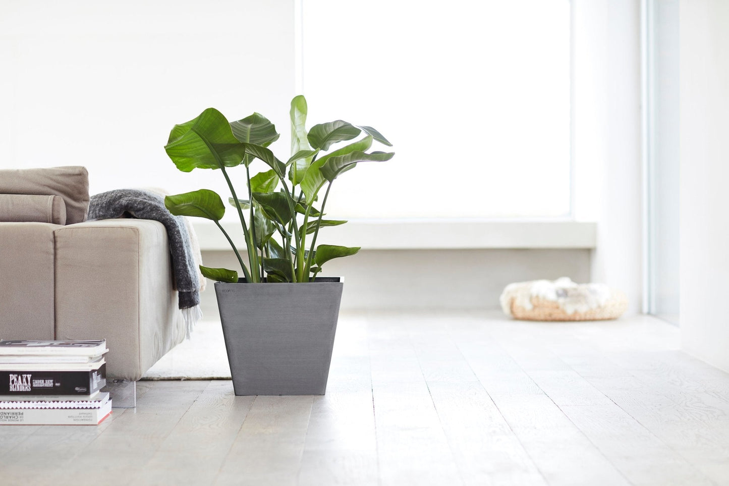 Kukkaruukku - Ecopots - Rotterdam 40cm harmaa - Ecopots - Uuden aikakauden kukkaruukku kierrätysmateriaalista
