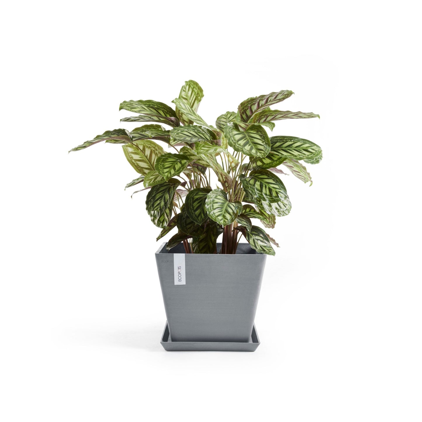 Kukkaruukku - Ecopots - Rotterdam 40cm siniharmaa - Ecopotskauppa - Uuden aikakauden kukkaruukku